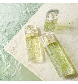 Ô de Lancôme - Eau de Toilette Ô de Lancôme - Eau de Toilette